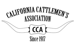 CCA Logo