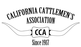 CCA Logo